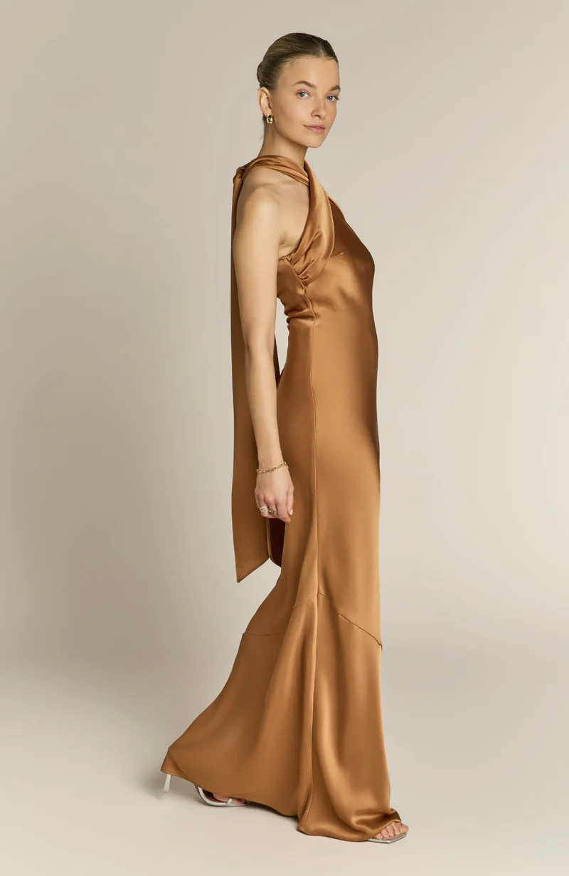 Roma Dress in Caramel - Image 6
